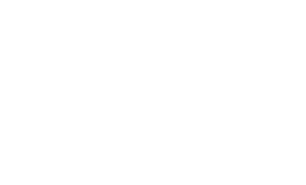 SHIROKI VISION 2021